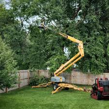 Best Tree Trimming and Pruning  in Nowata, OK