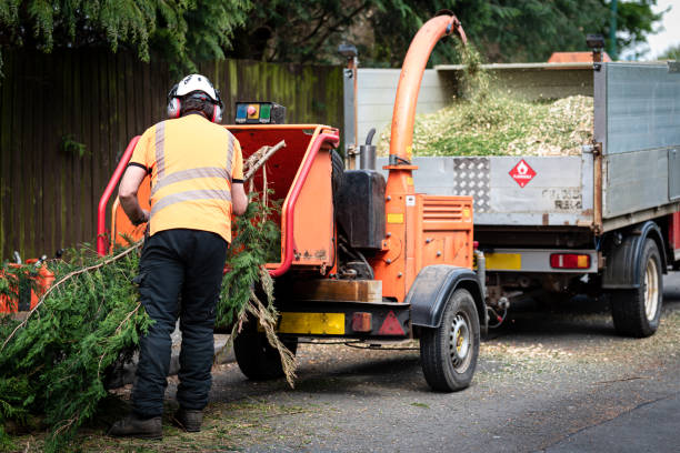 Best Lawn Dethatching  in Nowata, OK