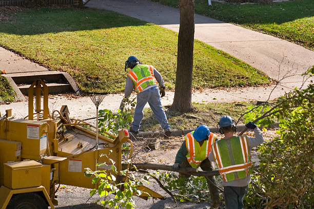 Best Tree Mulching  in Nowata, OK