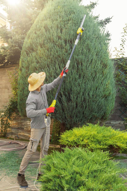 Best Hedge Trimming  in Nowata, OK